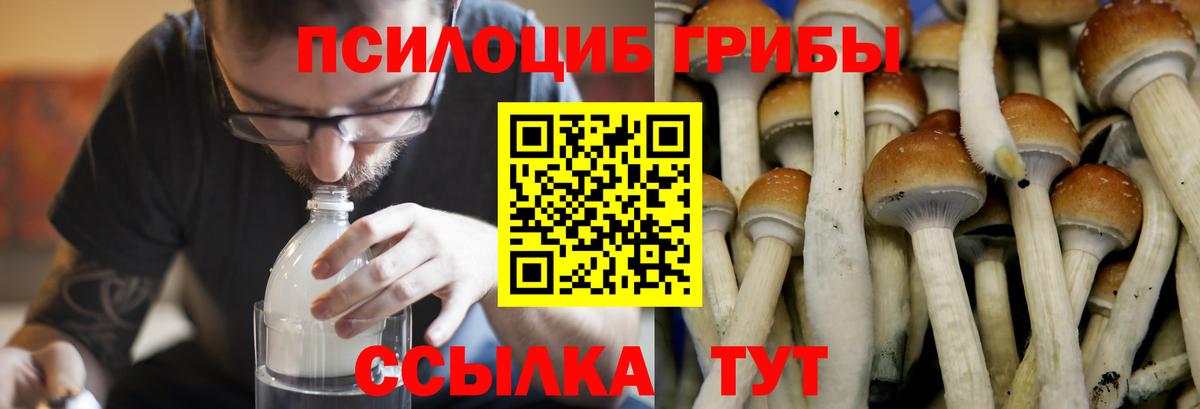 Псилоцибиновые грибы мицелий  Вход с VPN  Южноуральск 